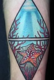 Модел на татуировка на морски звезди _9 животински модел татуировка на морски звезди работи