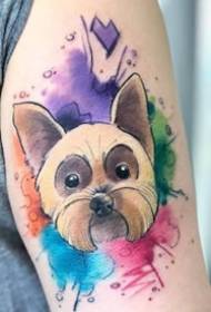 Akvarelu kreslených zvierat tetovanie - 9 farebných kreslených motívov zvierat zviera tetovanie funguje