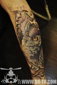 noga klasični zgodan uzorak tetovaže sove