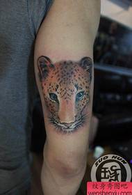 момиче рамо добре изглеждащ леопардов татуировка модел