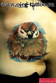 महिला खांद्यावर लोकप्रिय सुंदर पक्षी टॅटू नमुना