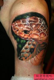 a very realistic snake tattoo on the arm