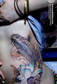 abdominal popular squid lotus tattoo pattern