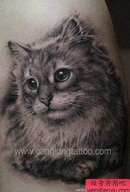 slatka crno-bijela mačka tetovaža uzorak