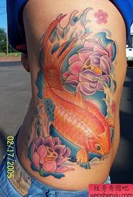 professional tattoo pattern: side waist color squid lotus tattoo pattern picture
