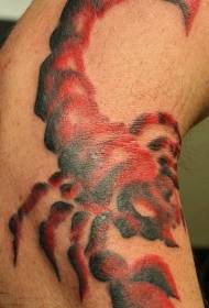male arm color red scorpion tattoo pattern