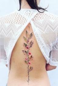 kolorowe rośliny gradientowe i proste linie wzór małego zwierzęcego tatuażu