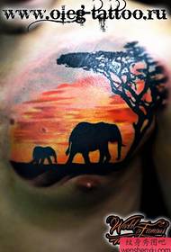 male chest cool elephant tattoo pattern