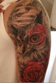 Снимка на татуирана сова Перо пухкав мек шаблон на татуировка на сова