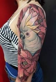 braço de menina pintado flores literárias e fotos de tatuagem de papagaio animal pequeno