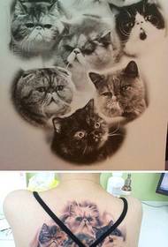 patró de tatuatge de gat bonic a les nenes a la part posterior