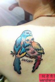 djevojke u boji ramena u obliku tetovaže ptica