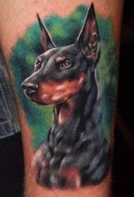 'n Groep lewendige en lewendige Doberman-honde en -honde wat tatoeëring van diere Daquan laat tatoeëring