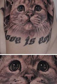 brazo lindo lindo gato tatuaje patrón