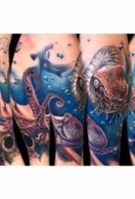 mustekala tatuointi kuvio pehmeä ja hankala mustekalan tatuointi malli