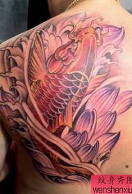 vīrieša plecs ar krāsainu kalmāru tetovējuma modeli