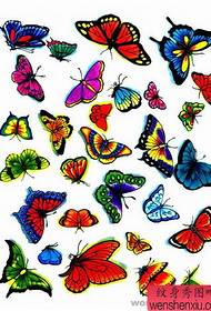 padrão de tatuagem de borboleta: cor padrão de tatuagem de borboleta