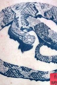 Manlike Tattoo Patroon - Realistiese realistiese slang tattoo patroon