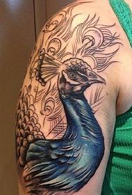 several color peacock tattoo designs beautiful  134865 - waist beautiful totem peacock tattoo pattern