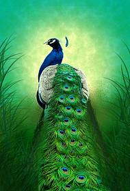 peacock tattoo patroon
