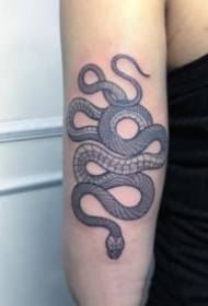 9 slikovna umetniška tetovaža slika kače