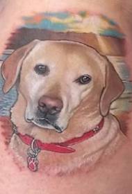 și Wang Xingren au legat un grup de modele de tatuaje pentru câini pentru animale de companie