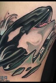 padrão de tatuagem de tubarão no braço