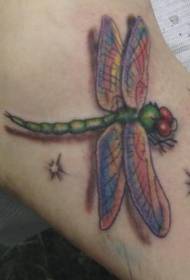 realistic and delicate dragonfly tattoo pattern