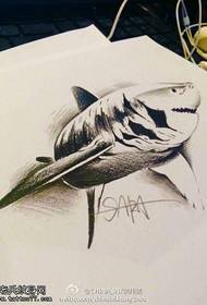 personality Shark tattoo manuscript picture