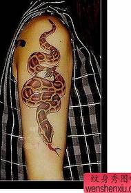 Snake Tattoo Pattern: An Arm Color Snake Tattoo Pattern