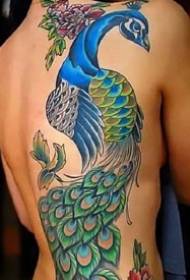 very exquisite set of large-colored peacock tattoo works