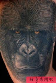 шимпанзе татуировкасы үлгісі