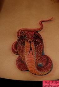patrón de tatuaje de cobra de color atractivo de cintura