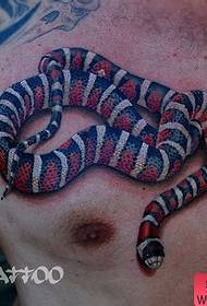 pit de davant masculí, bonic i maco patró de tatuatge de serp de color europeu i americà