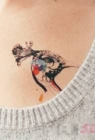 lány mellkas festett egyszerű vonal kis állat páva tetoválás kép 134819-európai színes páva tetoválás minta kézirat