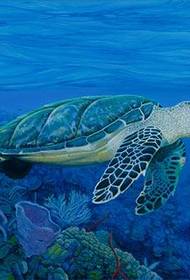 ʻ Patternlelo Kūlike ʻo Turtle