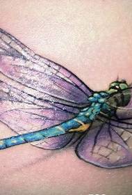 σχέδιο τατουάζ dragonfly