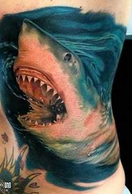 Bel köpekbalığı dövme deseni