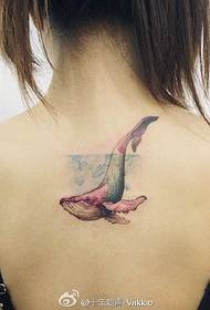 egy cápa tetoválás mintát a hátoldalon akvarell