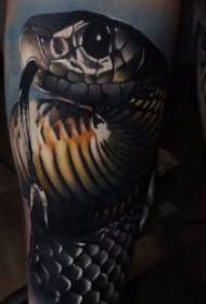 Snake tattoo pattern 9 蜿蜒 蜿蜒 的 蛇 kača vzorec tatoo