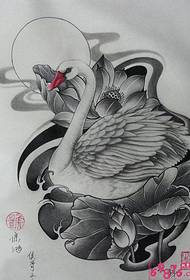 Swan Lotus Τατουάζ Χειρόγραφο Εικόνα
