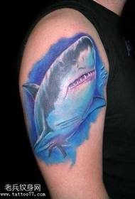 arm sea shark tattoo pattern