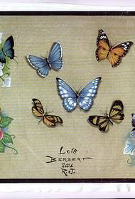Модел на татуировка на пеперуда: снимка на татуировка на панталони