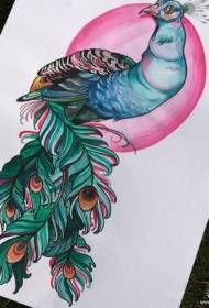 Rukopis uzorka tetovaže pauna Europe i Amerike u boji