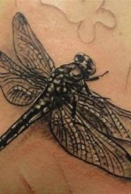 black realistic dragonfly tattoo pattern