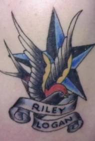ramena barva vrabec in pentagram slika tatoo