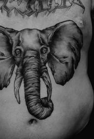 vēdera reālisms Stils zilonis iemiesojums tetovējums modelis