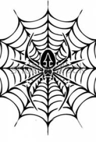 蜘蛛网纹身手稿 规则的蜘蛛和蜘蛛网纹身手稿