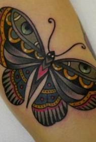 Gražus tradicinis drugelio tatuiruotės modelis