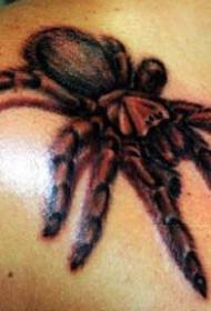 patrón de tatuaje de araña grande realista de color de hombro